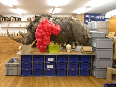 Didden Village - In the ground-floor studio, a prehistoric rhinoceros is temporarily housed. - foto: © Petr Šmídek, 2007