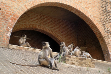 Indian Institute of Management Ahmedabad - foto: © Roland Vančo, 2006