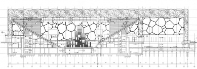 Beijing National Aquatic Center - Řez - foto: PTW Architects