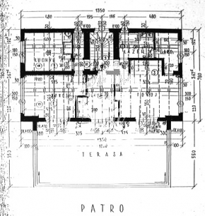 Winternitzova vila - Patro