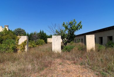 Vineyard Perraudin - foto: Petr Šmídek, 2008