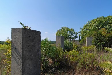 Vineyard Perraudin - foto: Petr Šmídek, 2008