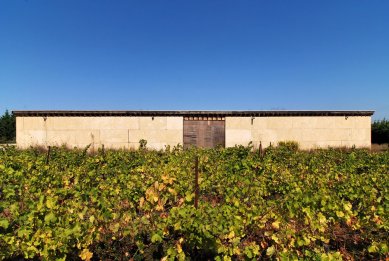 Vineyard Perraudin - foto: Petr Šmídek, 2008