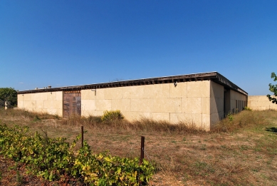 Vineyard Perraudin - foto: Petr Šmídek, 2008