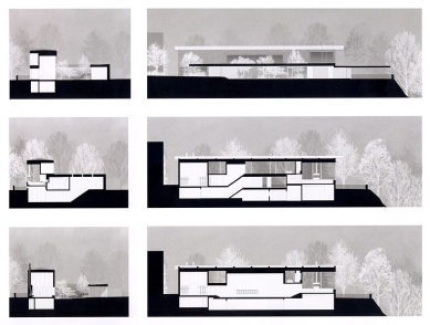 House Zumthor - Cuts