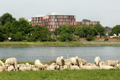 Cologne Oval Offices - foto: Jan Bitter