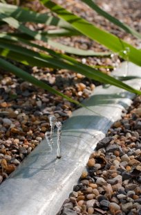 Botanical Garden Pavilion - foto: buildingstudio