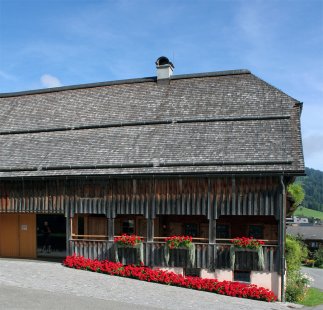 Angelika Kauffmann Museum - foto: Jan Pustějovský, 2009