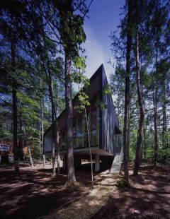 Dům zachycující les - foto: Katsuhisa Kida / FOTOTECA