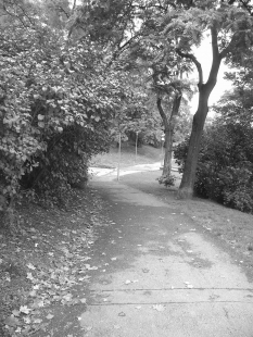 Revitalization of the Urban Park Studánka - Original state - foto: archiv Ateliéru Brno