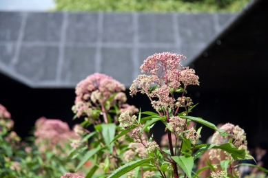 Serpentine Gallery Pavilion 2011 - foto: Martin Krcha, 2011