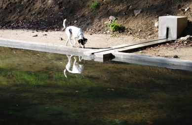 Revitalization of the forest park in Nový Lískovec in Brno - <sim>Pool - inlet</sim> - foto: Marek Jan Štěpán