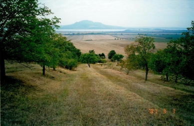 Vinařství Sonnberg (Sonberk) - foto: archiv autora