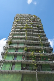 Tower of Biodiversity M6B2 - foto: Petr Šmídek, 2019