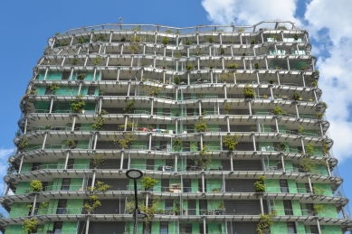 Tower of Biodiversity M6B2 - foto: Petr Šmídek, 2019