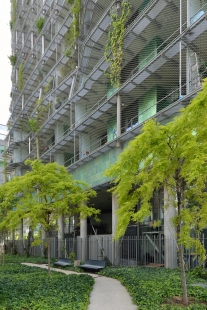 Tower of Biodiversity M6B2 - foto: Petr Šmídek, 2019