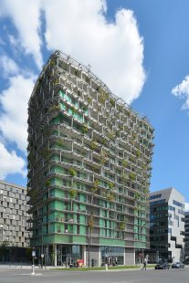 Tower of Biodiversity M6B2 - foto: Petr Šmídek, 2019