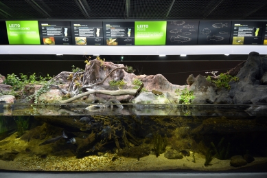 Říční akvárium v Moře - foto: Petr Šmídek, 2013
