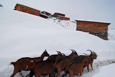 Butchery and Barns - foto: Petr Šmídek, 2008