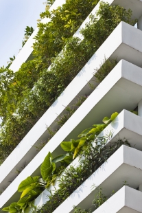 Stacking Green - foto: Hiroyuki Oki