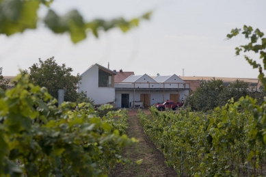 Vineyard Beautiful Mountain - foto: TOAST | Libor Stavjaník