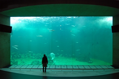 Oceanárium Hirtshals - foto: Petr Šmídek, 2012