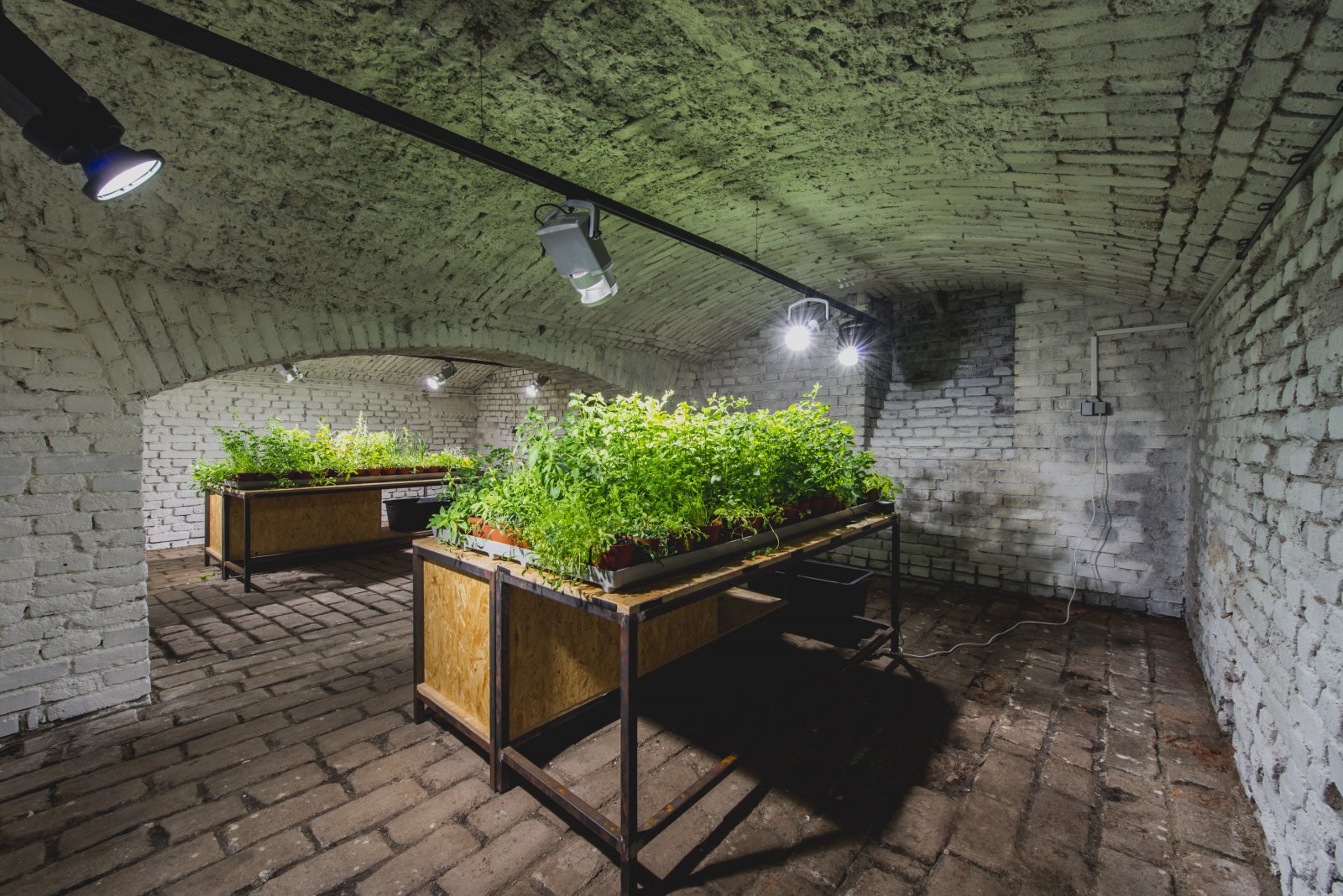 archiweb.cz Jam and Co.