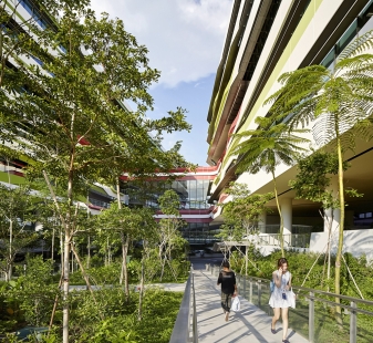 Singapore University of Technology and Design - foto: © Hufton+Crow