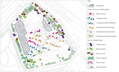 Pavilion, Garden and Underground Car Park - schéma výsadby stromů / trees scheme
