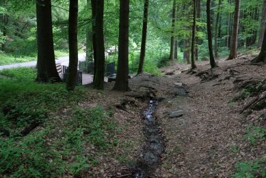 Lávka ke studánce - foto: Tomáš Dohnálek