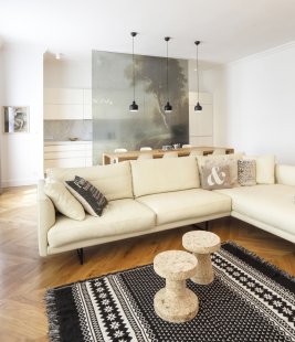 Reconstruction of an apartment in a historic building, Prague - foto: Jan Vrabec /www.profifotograf.cz