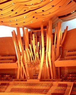 Walt Disney Concert Hall - foto: © Federico Zignani