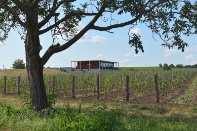 Obelisk Winery in Valtice - foto: Petr Šmídek, 2018