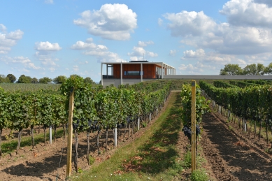 Obelisk Winery in Valtice - foto: Petr Šmídek, 2018