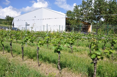 <wine>Starý vrch Winery</wine> - foto: POParch