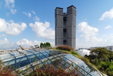 Centrální park ostrovního města Grin Grin  - foto: Petr Šmídek, 2012