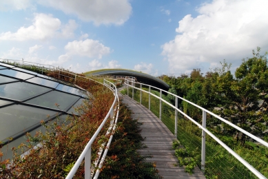 Centrální park ostrovního města Grin Grin  - foto: Petr Šmídek, 2012