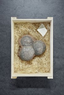 Prodejna drahých kamenů - foto: BoysPlayNice