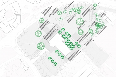 Park okolo kulturního domu v Hlučíně - Návrh zeleně