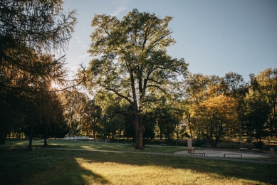 Revitalizace Parku A. Jiráska v Hronově - foto: Honza Bartoň