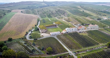 Mikrosvin Winery - Vizualizace: FAM architekti