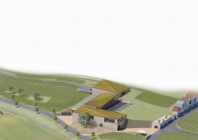 Mikrosvin Winery - Vizualizace: FAM architekti