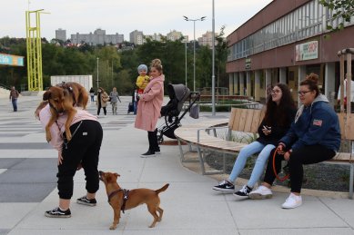 Rekonstrukce Sofijského náměstí - foto: Zdeňka Holá, Jiří Ernest