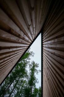 House in the Forest - foto: Florian Busch Architects