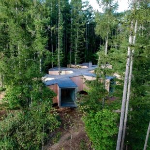 House in the Forest - foto: Florian Busch Architects