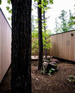 House in the Forest - foto: Florian Busch Architects