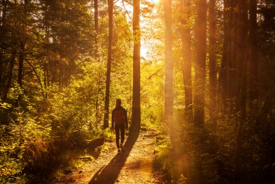 Naučná stezka okolo rybníku Olšina - foto: Jiří Šebek