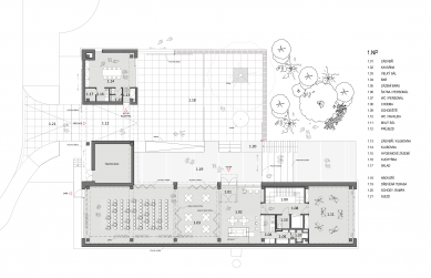 Komunitní centrum Skála - Půdorys 1NP