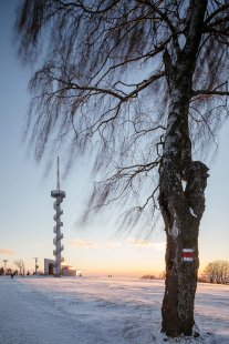 Rozhledna na Šibeníku - foto: Václav Novák | vaclavnovak.com