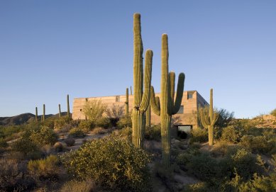 Desert Courtyard House - foto: Bill Timmerman